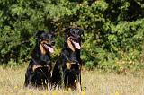 BEAUCERON 713